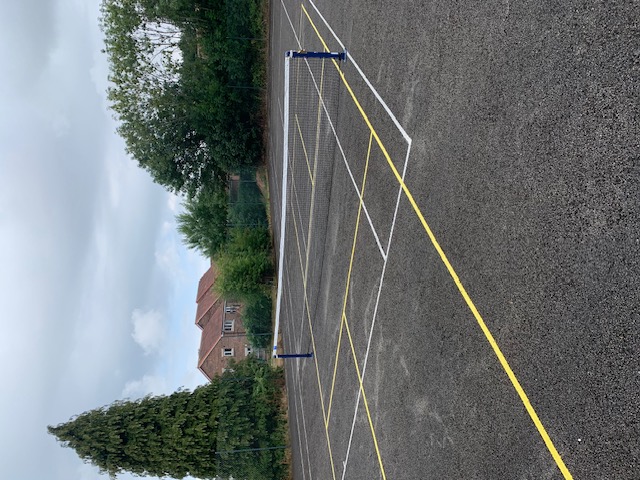Image of pickleball court